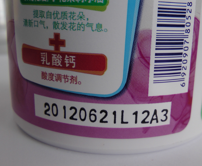 Automatic Hot Ink Roll Coder with 20 Characters per Line and 1 Year Warranty for Expiry Date Printing